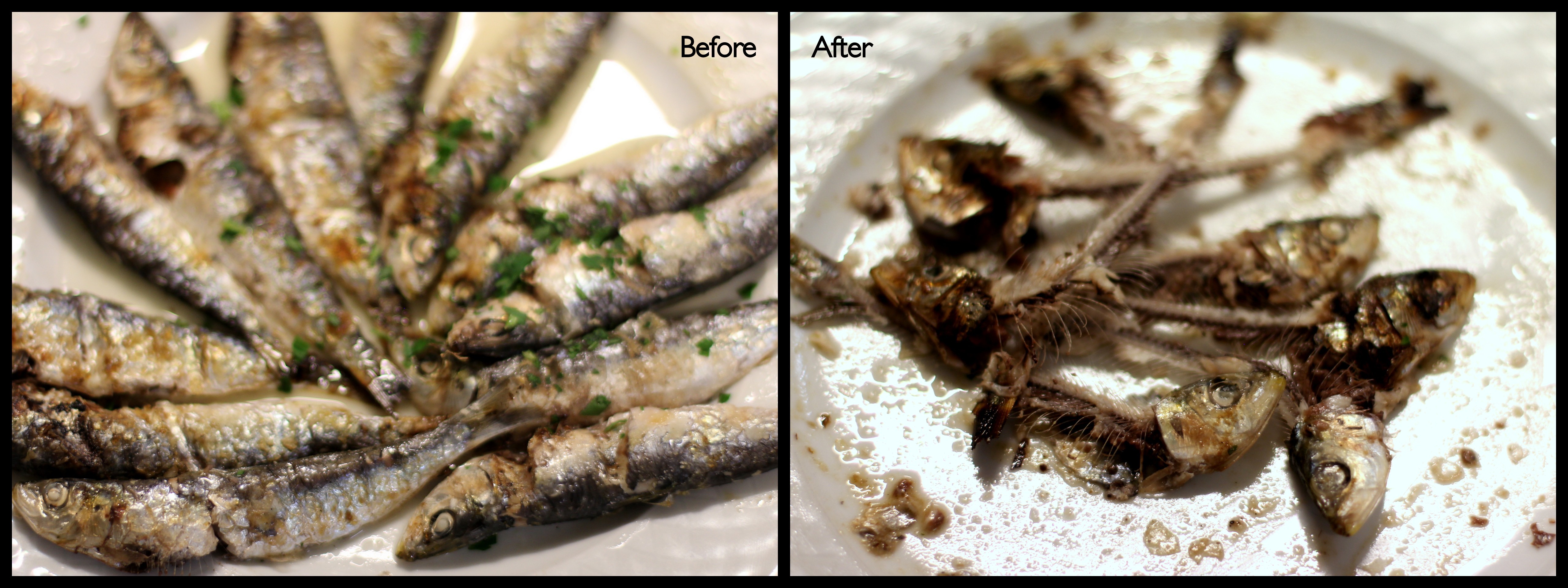 Grilované sardinky s petržlenom a morskou soľou. 