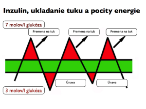 Inzulin a premena na tuk.089