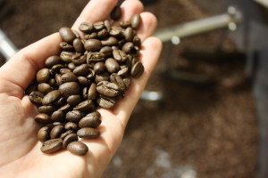 Čerstvo pražená káva