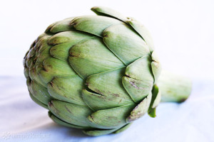 artichoke-520-wm