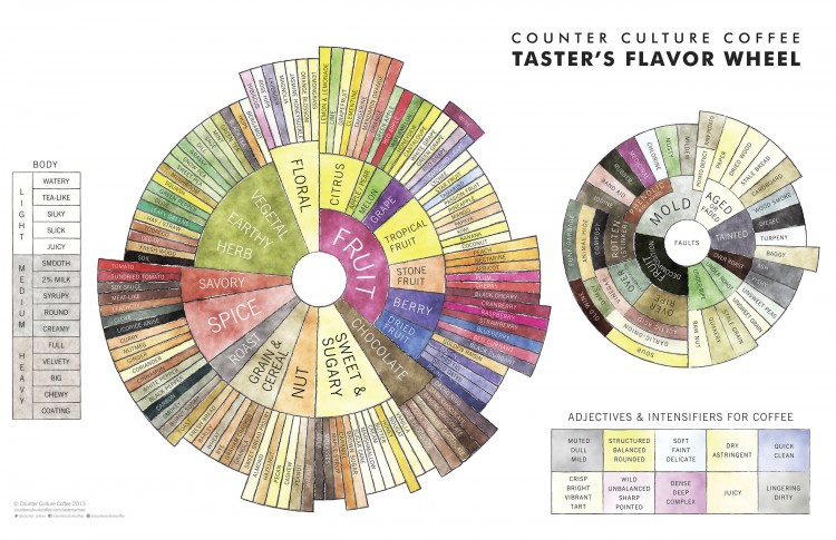 CCC_Tasters_Wheel_Kompletny_sprievodca