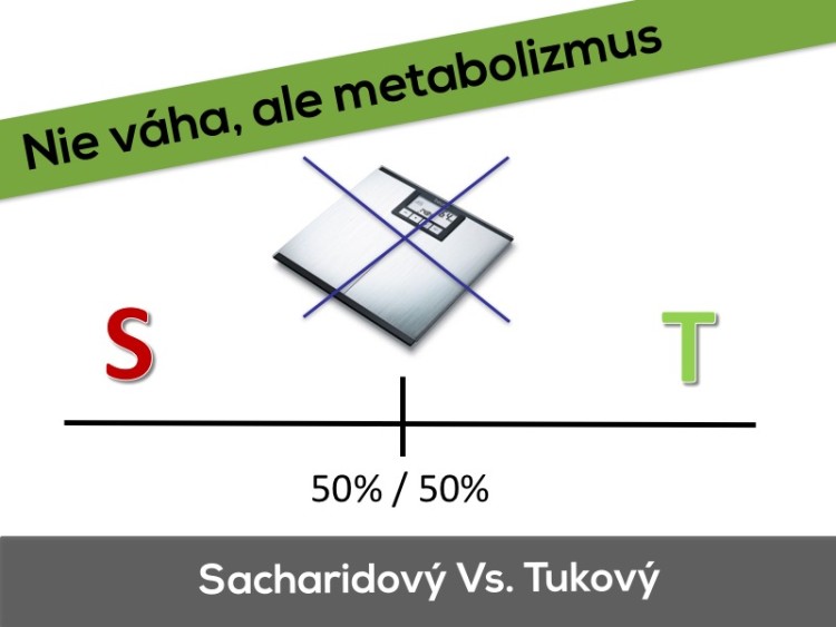 Metabolizmus tuk-vs sacharidy